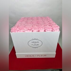 Venus Et Fleur Large Square Pink Roses in White Box